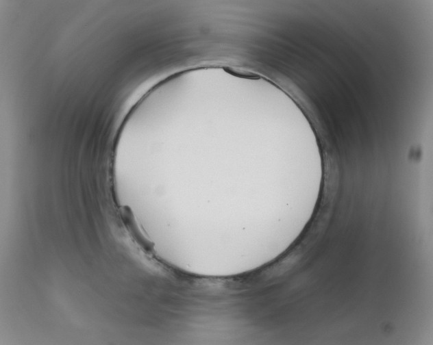 X0000111900956200908240958