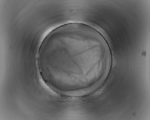 X0000111900958200908240958