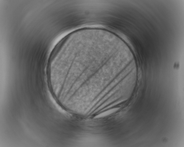 X0000111900959200908240958