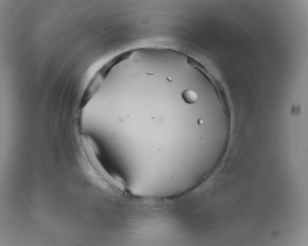 X0000111900960200908240958