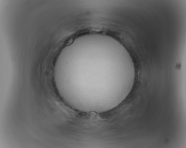 X0000111900961200908240958