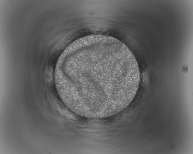 X0000111900963200908240957