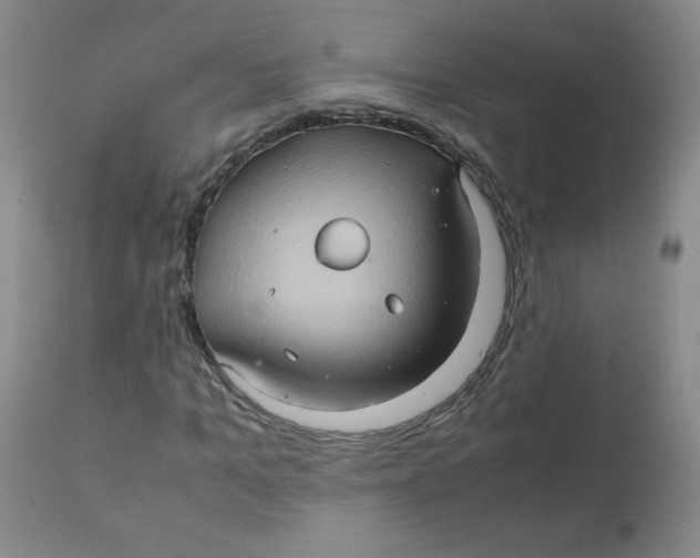 X0000111900965200908240957