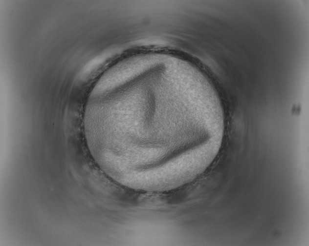 X0000111900967200908240957