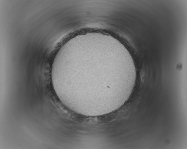 X0000111900968200908240957