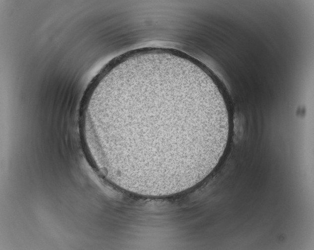 X0000111900972200908240957