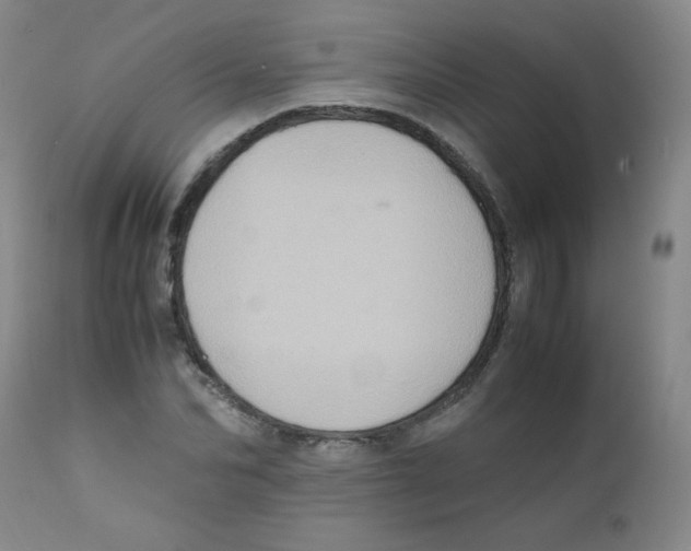 X0000111900974200908240957