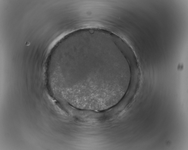 X0000111900975200908240957