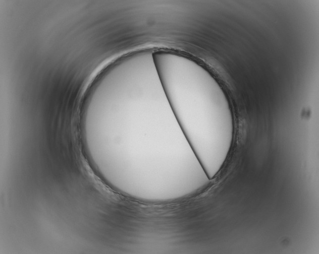 X0000111900976200908240957