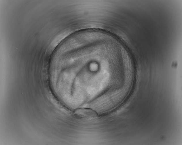 X0000111900977200908240957