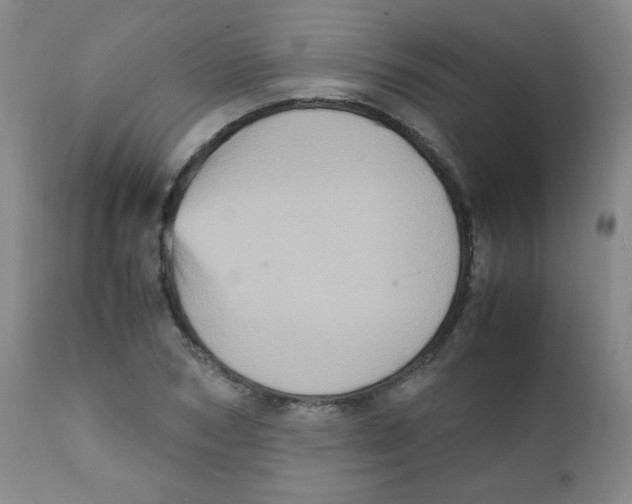 X0000111900978200908240957