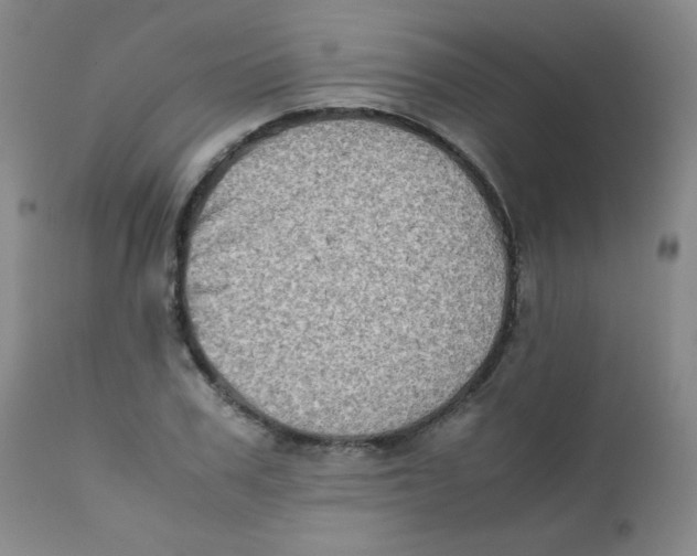 X0000111900979200908240957