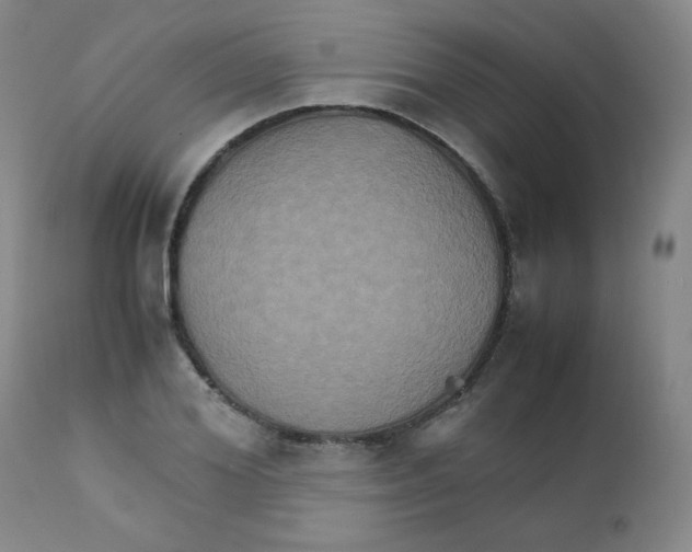 X0000111900980200908240957