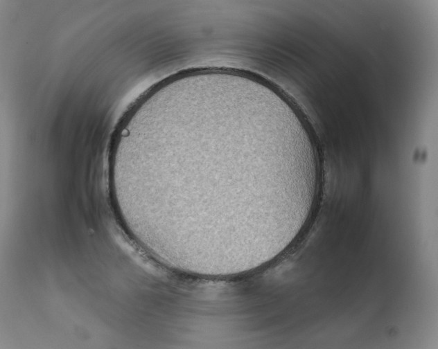 X0000111900982200908240957