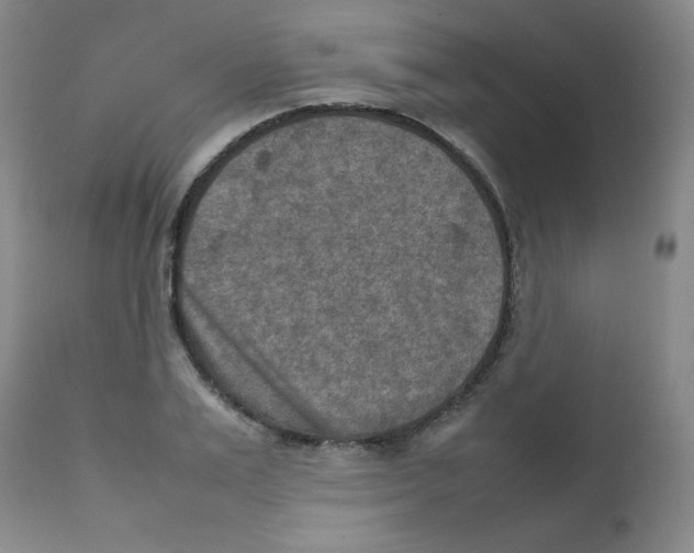 X0000111900983200908240957