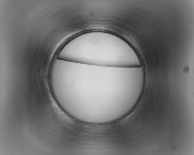 X0000111900984200908240957