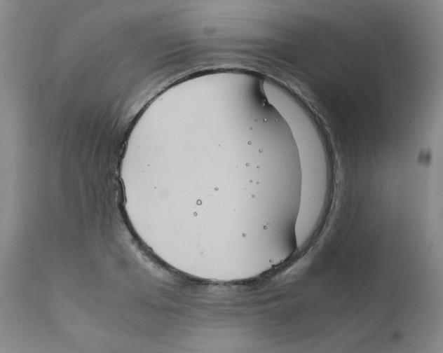 X0000111900985200908240957