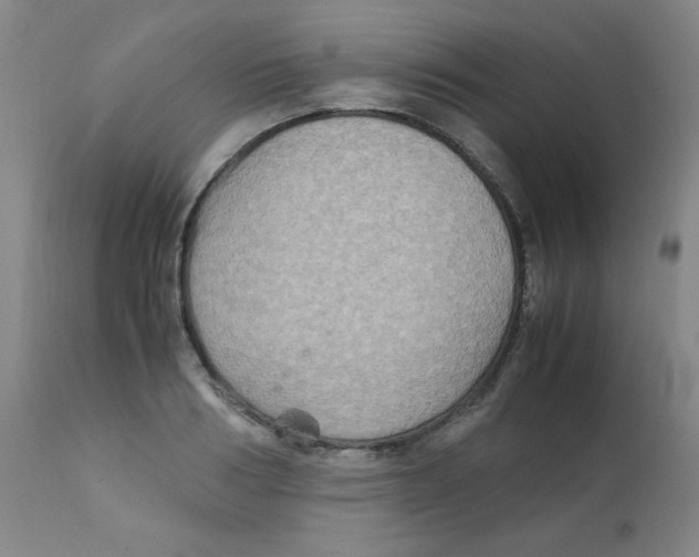 X0000111900986200908240957