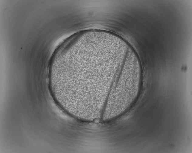 X0000111900987200908240957