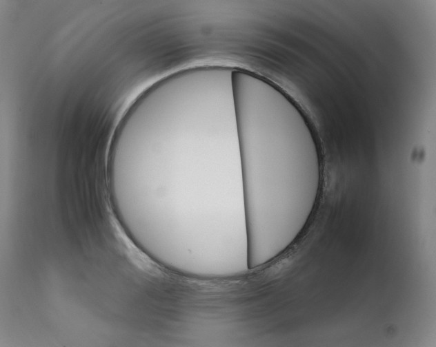 X0000111900988200908240957