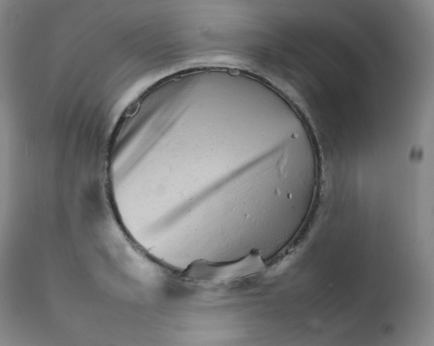 X0000111900989200908240957