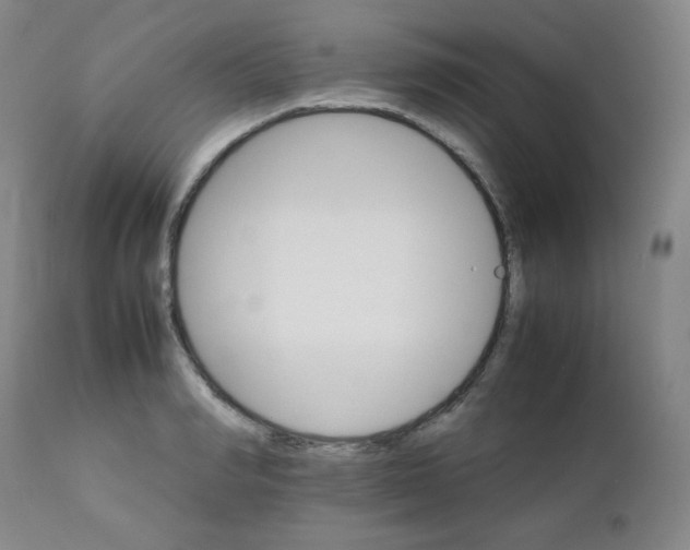 X0000111900990200908240957