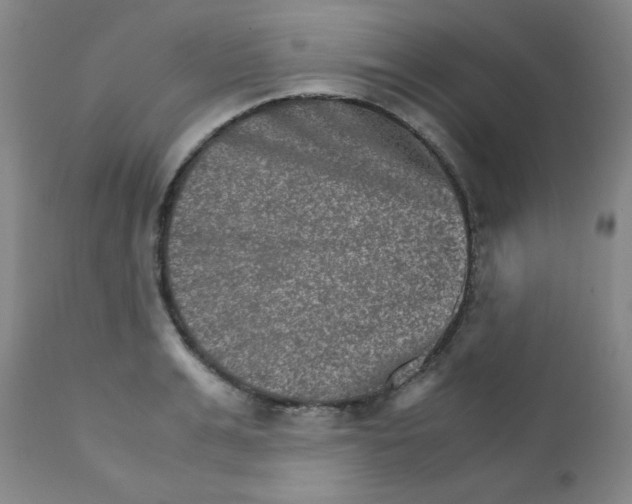 X0000111900991200908240957