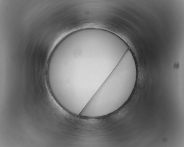 X0000111900992200908240957