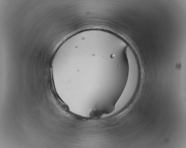 X0000111900993200908240957