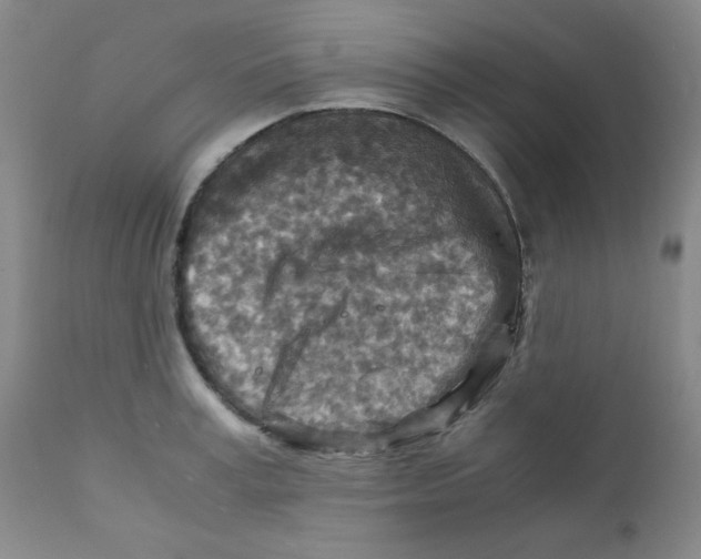 X0000111900995200908240957