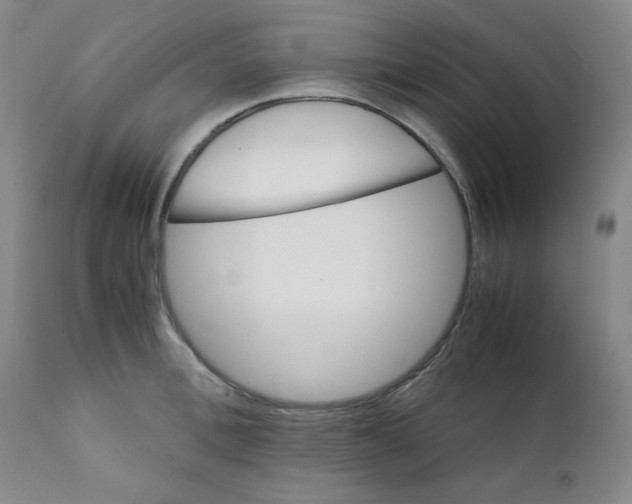 X0000111900996200908240957