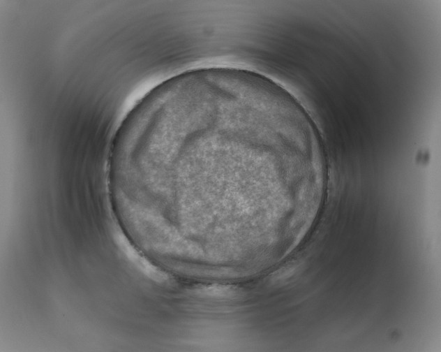 X0000111900998200908240957