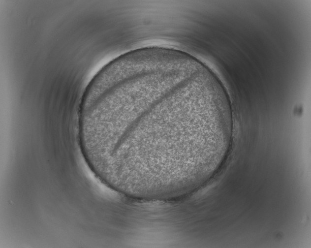 X0000111900999200908240957