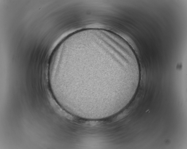 X0000111901000200908240957