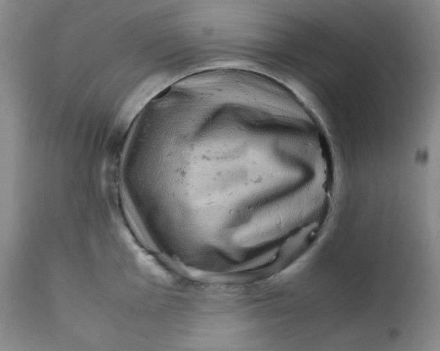 X0000111901001200908240957