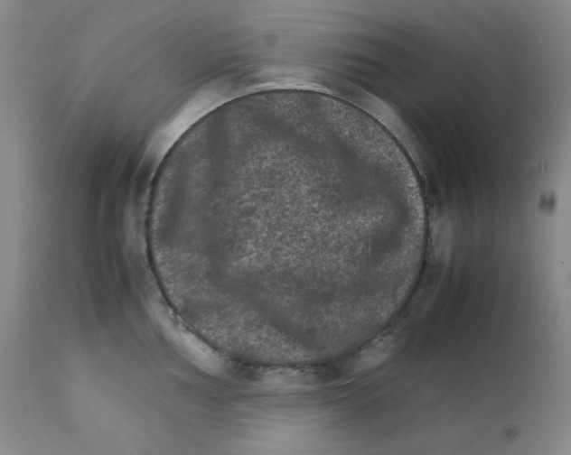 X0000111901002200908240957