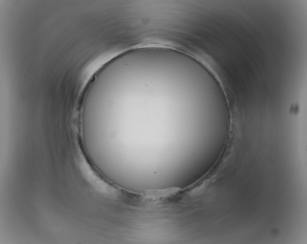 X0000111901003200908240957