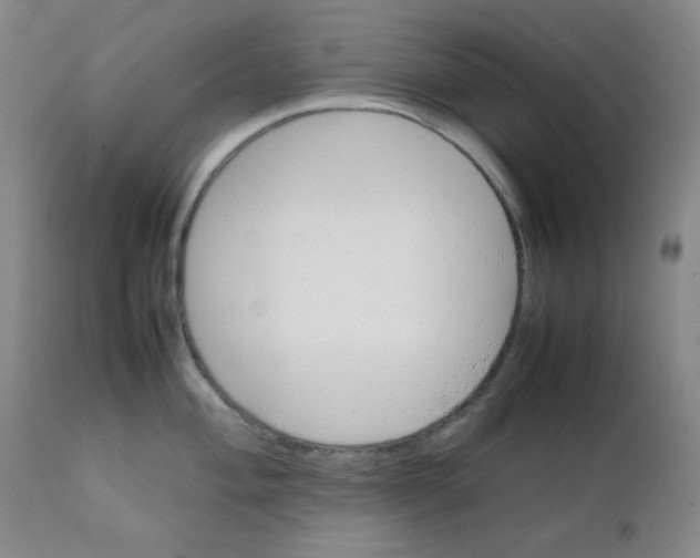 X0000111901004200908240957