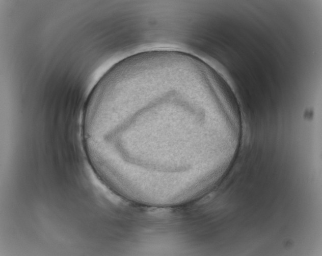 X0000111901006200908240957