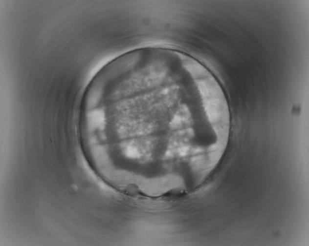 X0000111901007200908240957