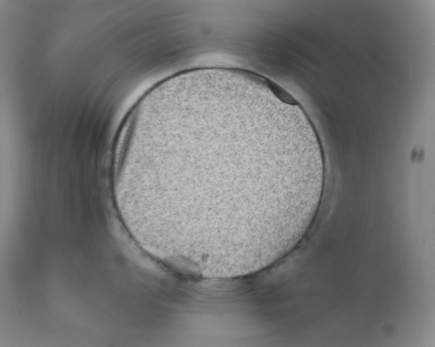 X0000111901008200908240957