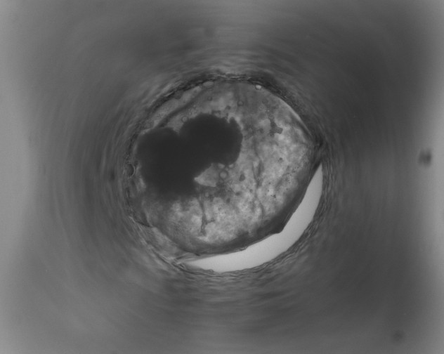 X0000111901009200908240956