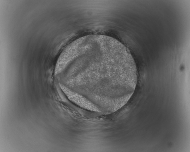 X0000111901010200908240956