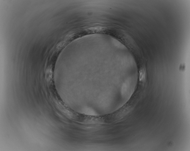 X0000111901011200908240956