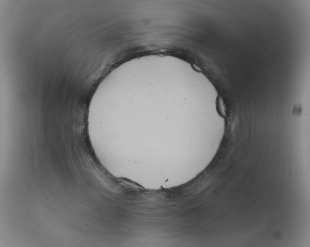 X0000111901012200908240956