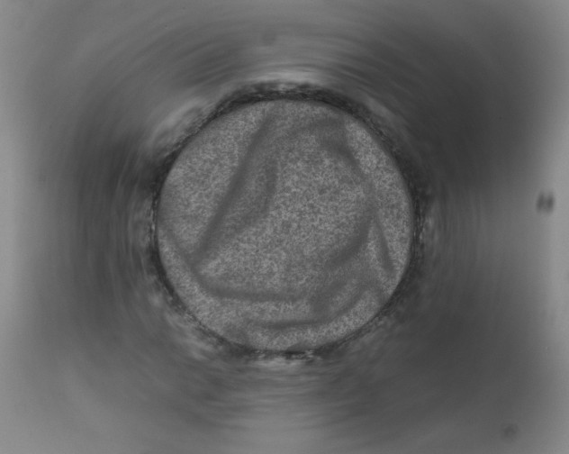 X0000111901014200908240956