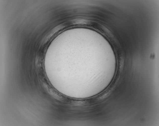 X0000111901017200908240956