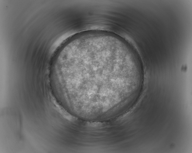 X0000111901019200908240956