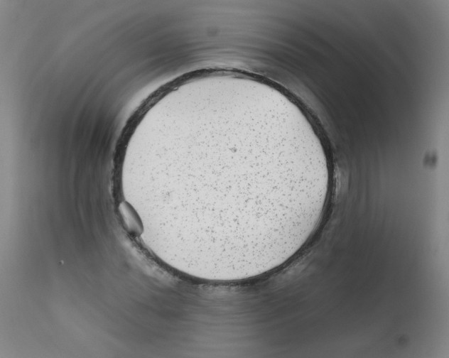 X0000111901020200908240956