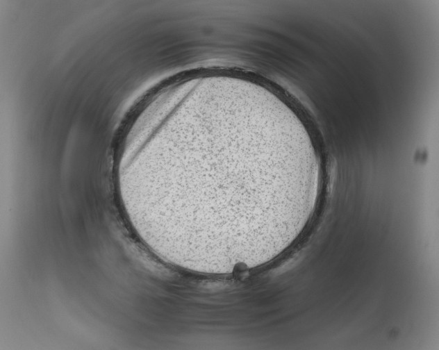 X0000111901021200908240956